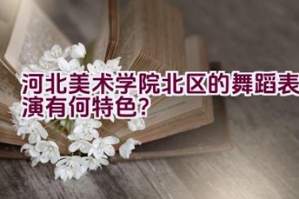 河北美术学院北区的舞蹈表演有何特色？