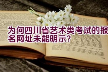 为何四川省艺术类考试的报名网址未能明示？