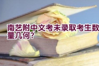 南艺附中文考未录取考生数量几何？