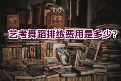 艺考舞蹈排练费用是多少？