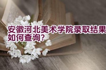 安徽河北美术学院录取结果如何查询？